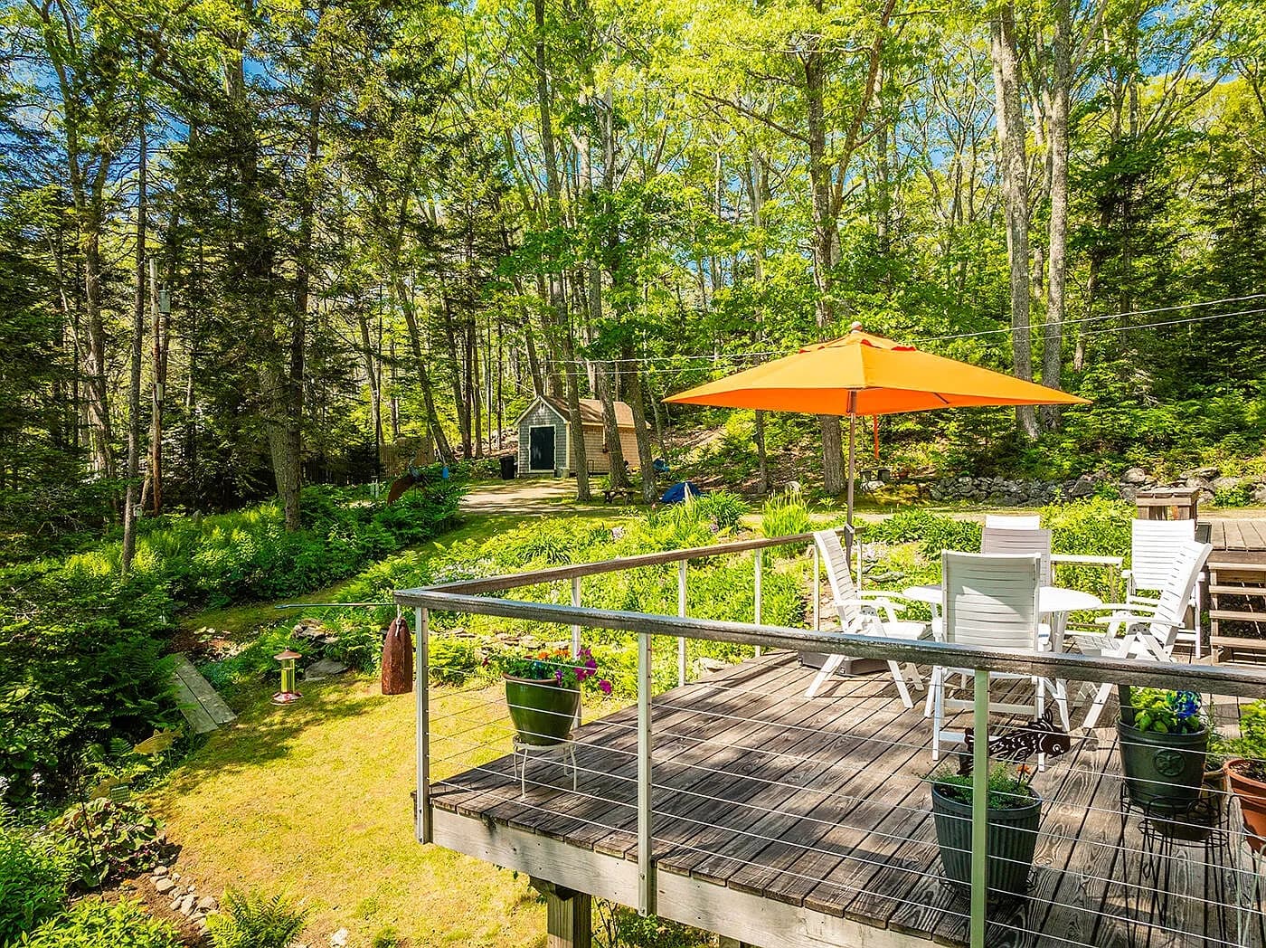 Deck chairs overlooking Collins Cove